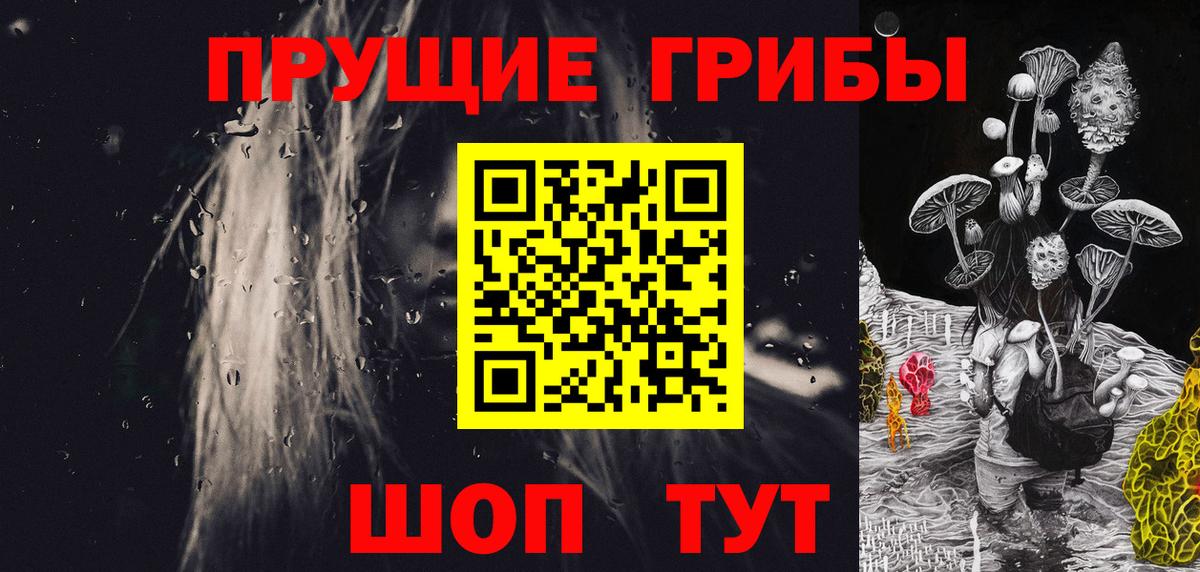 Волхов  Псилоцибиновые грибы Magic Shrooms  Вход с VPN 
