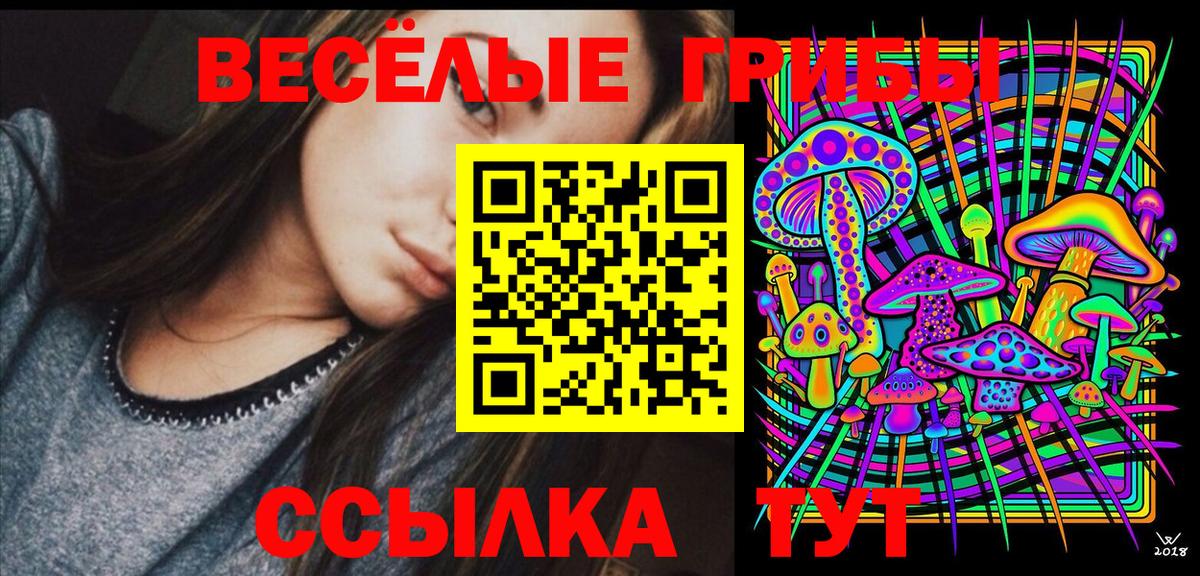 Псилоцибиновые грибы мухоморы Волхов