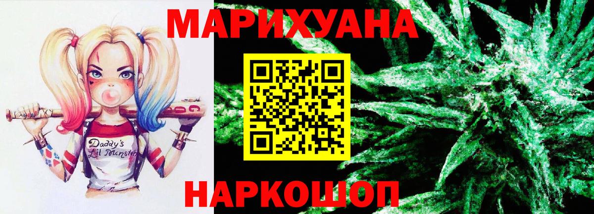 Конопля планчик Волхов